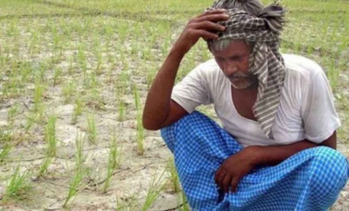 Three farmers commit suicide in Telangana